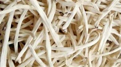 सफेद मूसली