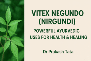 Vitex Negundo uses